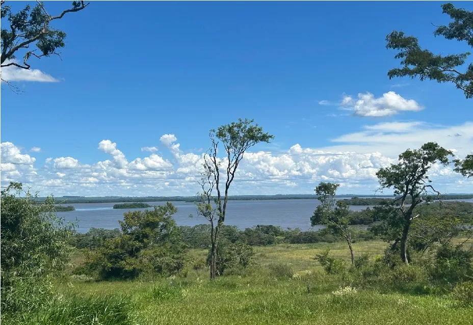 Mais do que um passeio, a Trilha Passarinhada oferece uma verdadeira imersão na natureza.- Foto: Arquivo da RPPN