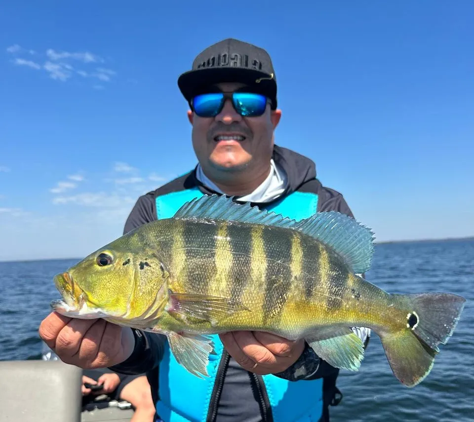 Porto Camargo recebe pré-lançamento da Copa Tucunaré, um dos grandes eventos da pesca esportiva do Paraná