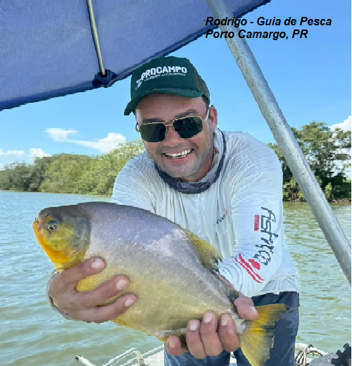 Muito pacu e piapara no primeiro dia de pesca da temporada.