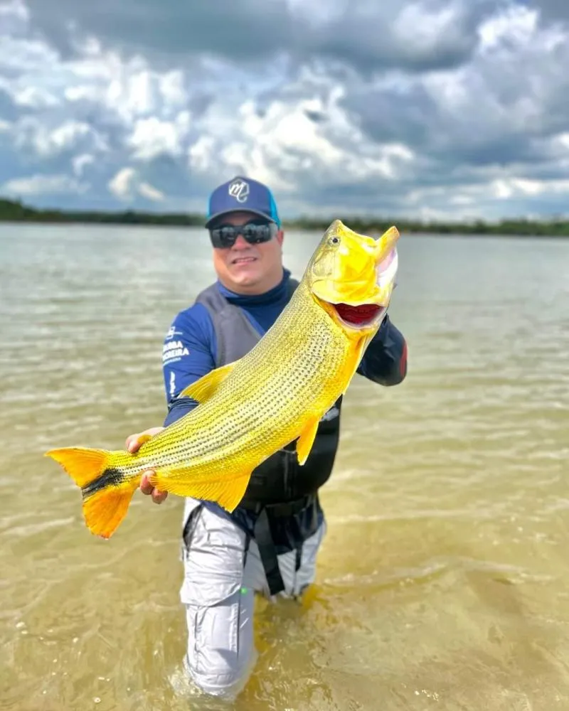 Dia 1° de novembro começa a Piracema no Rio Paraná