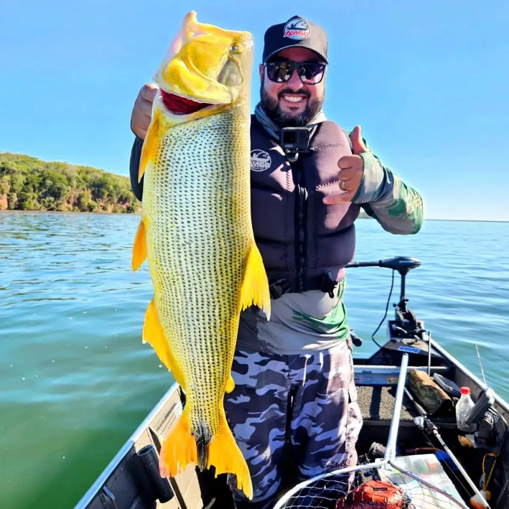 Está Chegando a abertura da Temporada de Pesca 2025