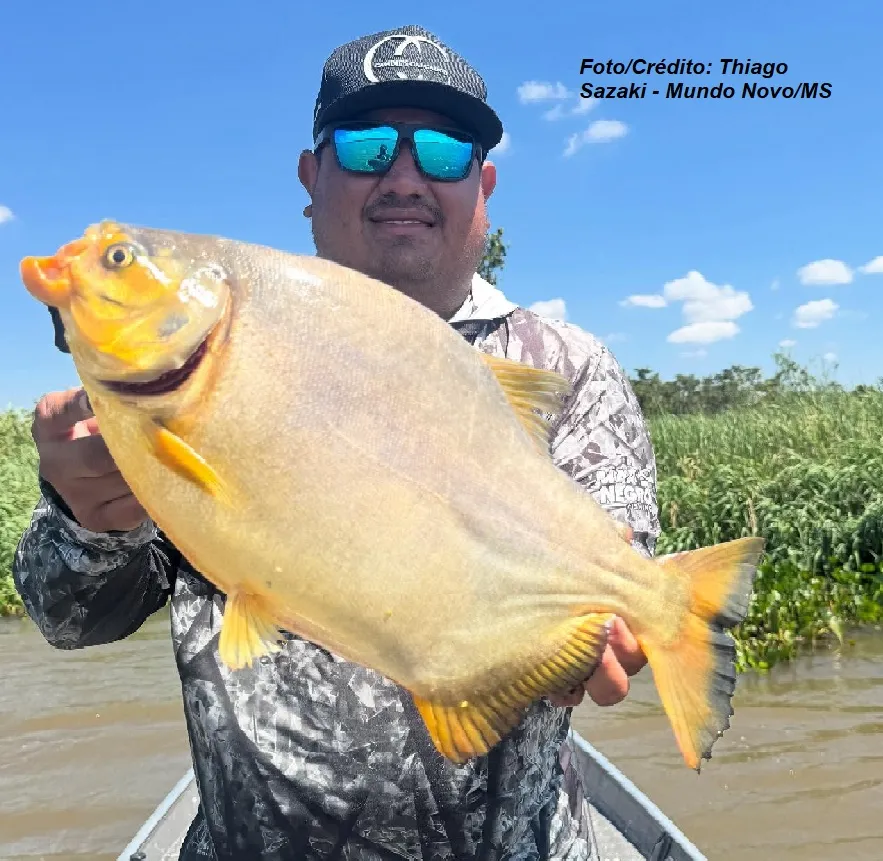 Inscreva-se e participe do XXXII Concurso de Pesca ao Pacu em Porto Camargo/PR.