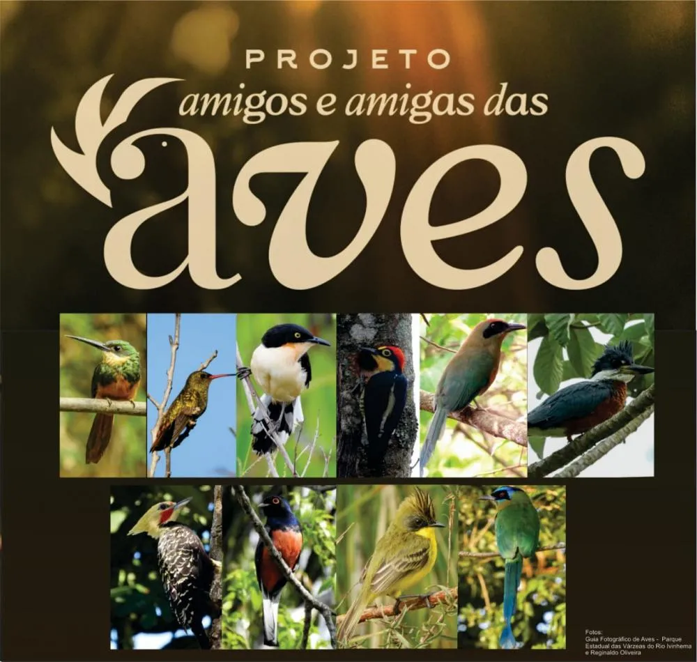 Participe da escolha da ave símbolo da Mata Atlântica Sul mato grossense... 