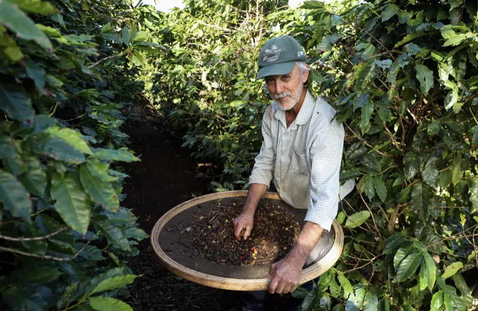 Café de Mandaguari conquista a 20ª Indicação Geográfica do Paraná