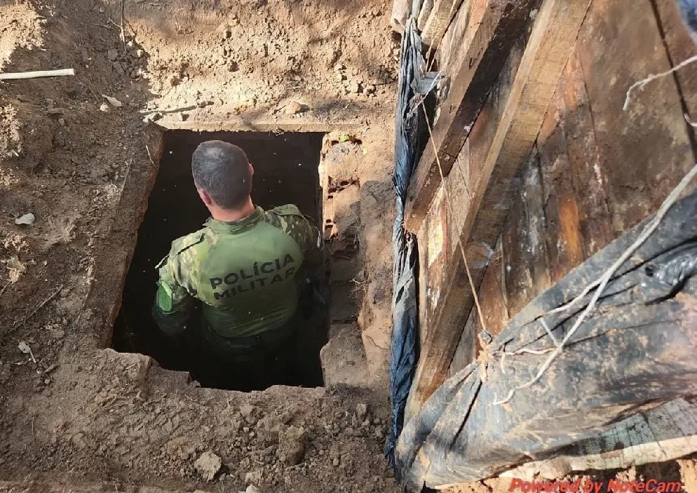 Na mesma área onde encontraram os corpos dos 4 homens desaparecidos, a vegetação está destruida