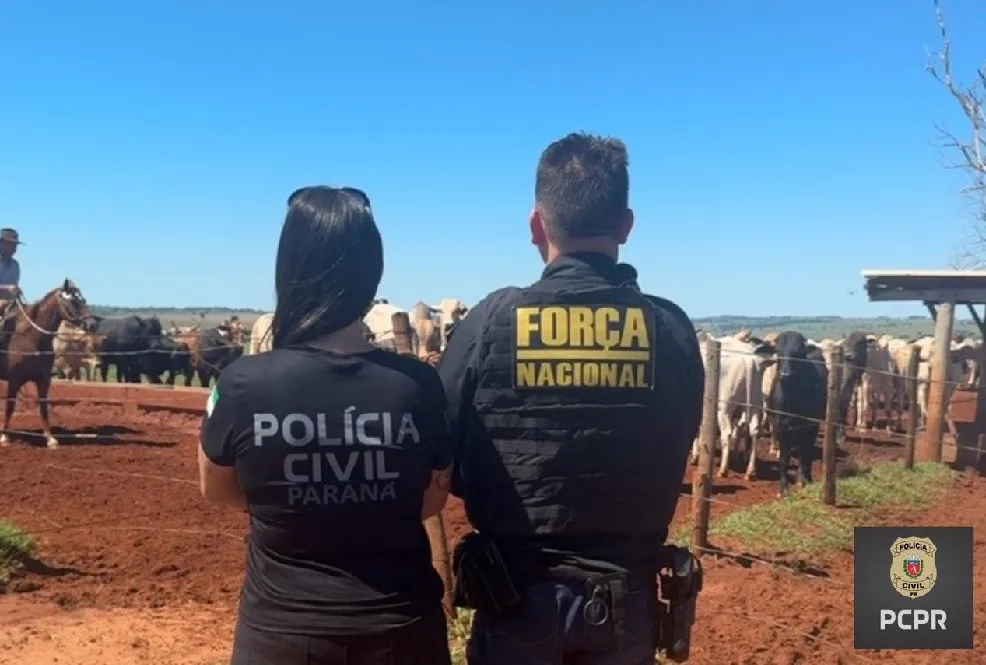 A ofensiva contou com apoio da Polícia Militar do Paraná e da Força Nacional de Segurança Pública - Foto: PC/PR.